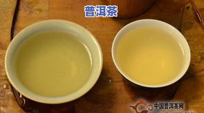 澜沧古茶冰岛品尝-澜沧古茶 冰岛