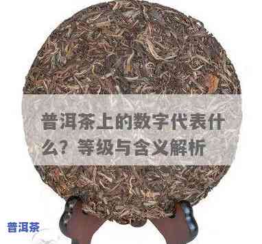 普洱茶160-普洱茶1601数字含义