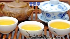 秘境秋普洱茶-秘境普洱茶价格