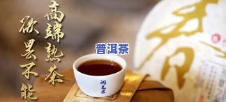 2011年冰岛熟茶-2012年冰岛熟茶价格