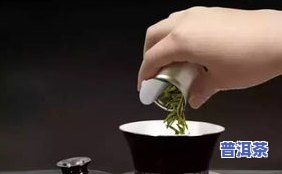 问茶师冰岛1319小罐茶价格是多少？