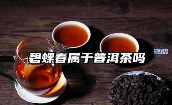 普洱茶有碧螺春吗，普洱茶与碧螺春：有何不同？