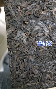 普洱茶有壁虎-普洱茶有壁虎味道吗