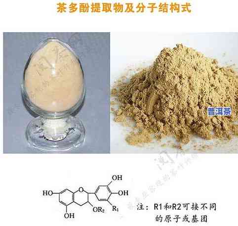 冰岛茶的茶多酚含量-冰岛茶的茶多酚含量是多少