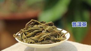 冰岛单株：生茶还是熟茶？它是什么类型的茶？