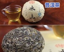 冰岛普洱熟茶：更佳料子与高性价比推荐