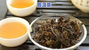 闽江一号岩茶，品鉴闽江一号岩茶：探寻福建茶叶的精髓