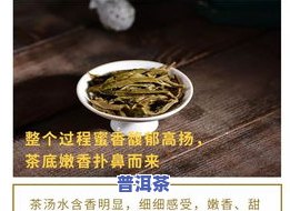 探究冰岛龙珠熟茶的特别口感与魅力