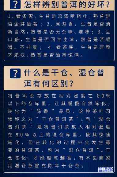 深入解析：冰岛金芽普洱茶口感特点与品尝体验