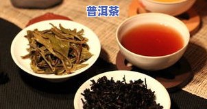 假的普洱茶：危害及特点解析