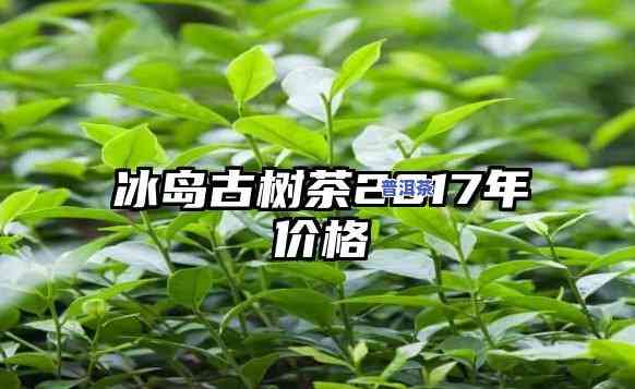 2017年冰岛茶：生茶价格全面解析