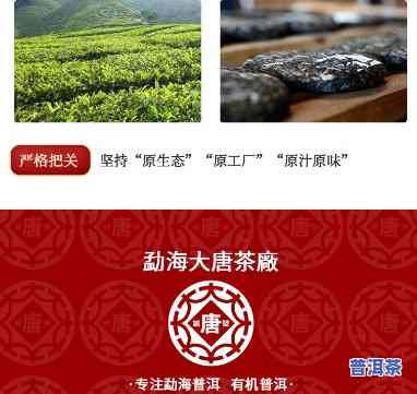 勐海大唐茶厂所产品，品味优质茶叶，选择勐海大唐茶厂的产品