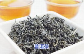 冰岛茶新鲜茶叶图片大全：高清大图与大