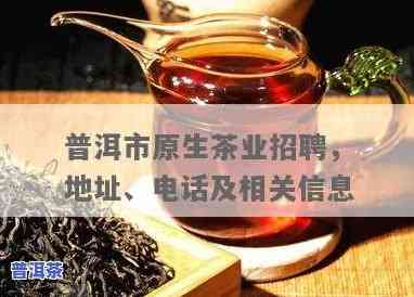 普洱厚道茶业：官方网站、招聘信息一网打尽