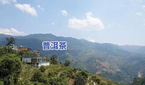 云南双江勐库冰岛茶叶：精制厂介绍与联系方法