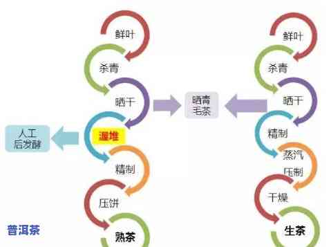 龙珠普洱茶加工工艺详解及流程图