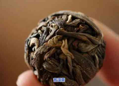 龙珠普洱茶加工-龙珠普洱茶加工工艺