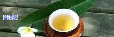 恒盛公爵普洱茶-恒盛茶叶