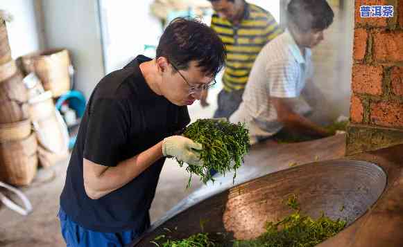 大叶普洱熟茶的功效-大叶普洱熟茶的功效与作用