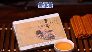 云古民间普洱茶：特点与价格全解析