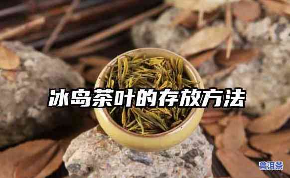 冰岛茶怎么保存更好-冰岛茶怎么保存更好喝