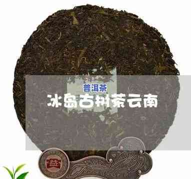 云南冰岛茶叶，【限时抢购】云南冰岛古树春茶，纯手工制作，原产地直供，入口回甘，送礼自饮两相宜！