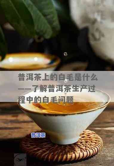 普洱茶为啥有毛毛，揭开普洱茶“毛毛”之谜：为何会出现这类现象？