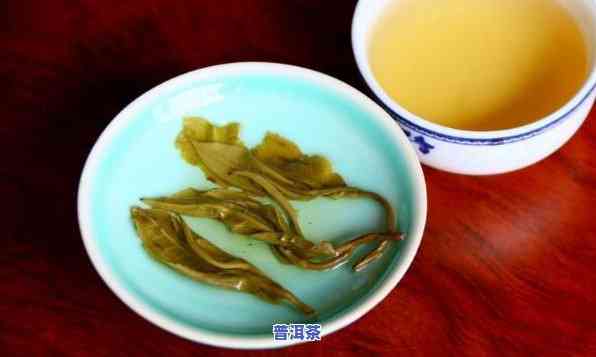 茶会普洱茶-茶叶普洱茶