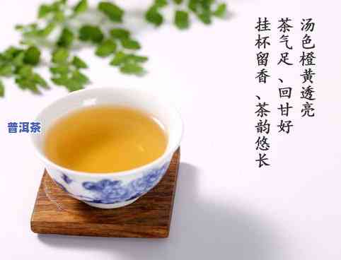 普洱茶生普饼茶-普洱茶生普饼茶图片