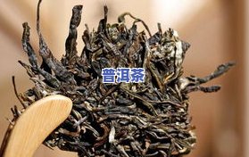 普洱茶黄色发霉还能喝吗，普洱茶黄色发霉，还能安心饮用吗？