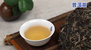 昔归普洱茶功效与作用，探究昔归普洱茶的神奇功效与作用