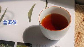 普皇普洱茶老板-普皇普洱茶老板是谁