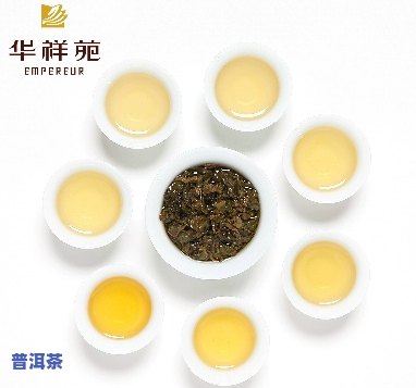 华祥苑主打什么茶叶-华祥苑主打什么茶叶品种