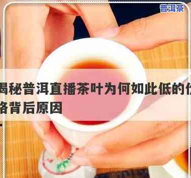 普洱茶有什么样子的图片和价格，探索普洱茶的世界：图片与价格大揭秘！