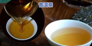 冰岛茶市场价，探究冰岛茶市场价：一场特别的茶叶之旅