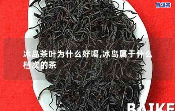 冰岛红茶属于什么茶种？详解其类别和特点