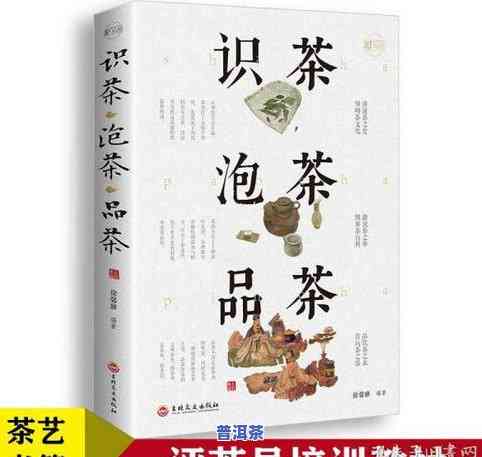 普洱茶直播视频教程大全：从入门到精通