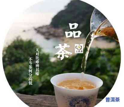 普洱茶主播，品鉴普洱茶：揭秘茶叶背后的故事与文化