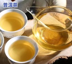 海普洱茶是什么-海普茶叶