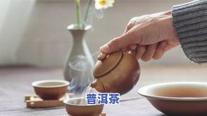 冰岛茶对人体的好处：揭示其益处与潜在风险