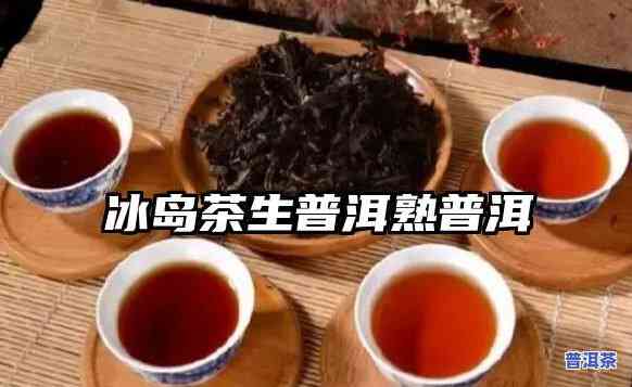 冰岛是熟茶吗？熟茶还是生茶？求解