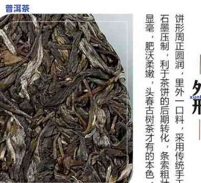 冰岛是熟茶吗？熟茶还是生茶？求解