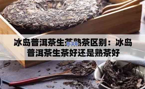 冰岛红茶生茶和熟茶哪个好，比较冰岛红茶的生茶和熟茶：哪个更优秀？