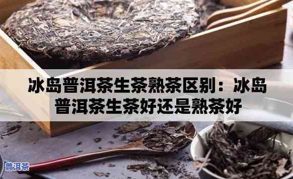 冰岛熟茶生茶的甜度比较：哪个更甜？