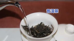 冰岛古树茶生茶怎样-冰岛古树茶生茶怎样冲泡