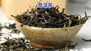 冰岛藤条茶和古树茶的区别，探究冰岛藤条茶与古树茶的差异