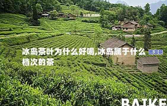 你喝冰岛茶是真的吗-你喝冰岛茶是真的吗英文