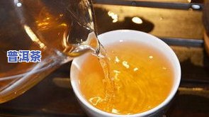 熟普洱茶的散茶：种类、特点与口感全面解析