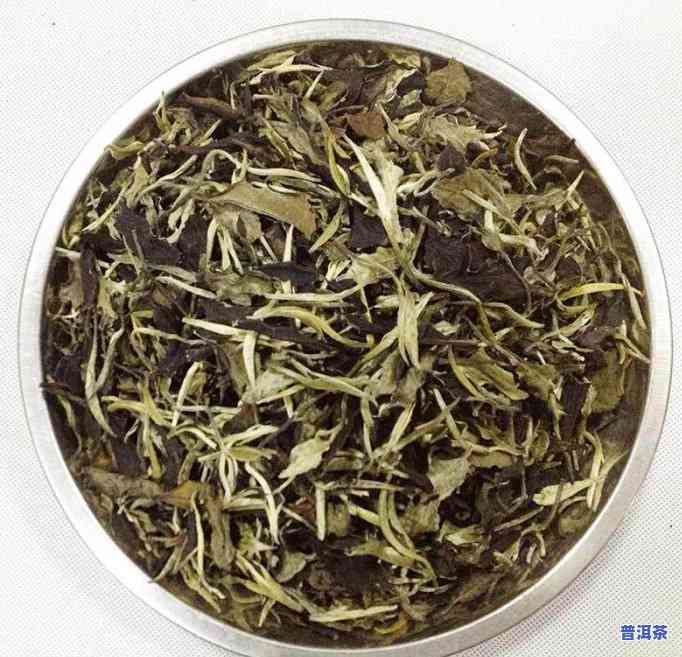 熟普洱茶：散茶与茶饼，哪种更好？口感比较解析