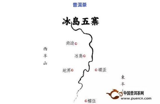 冰岛茶：哪家最正宗、更好喝？